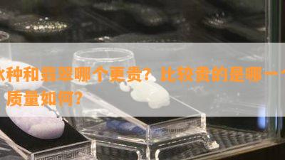 冰种和翡翠哪个更贵？比较贵的是哪一个？质量如何？