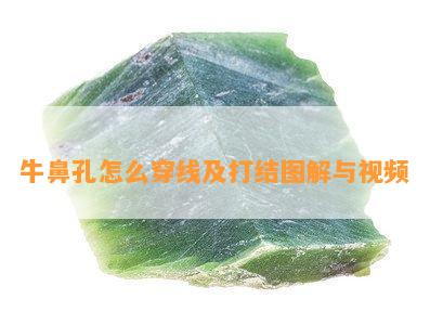 牛鼻孔怎么穿线及打结图解与视频