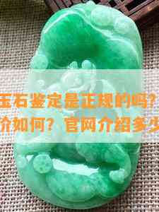 圣义珠宝玉石鉴定是正规的吗？安全可靠？上的评价如何？官网介绍多少钱？