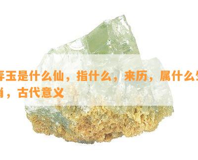 弄玉是什么仙，指什么，来历，属什么生肖，古代意义