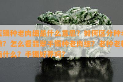 玉镯种老肉细是什么意思？如何区分种老嫩？怎么看翡翠手镯种老肉细？老种老料指什么？手镯好养吗？