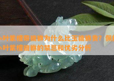 小叶紫檀带貔貅为什么比玉貔貅贵？佩戴小叶紫檀貔貅的禁忌和优劣分析