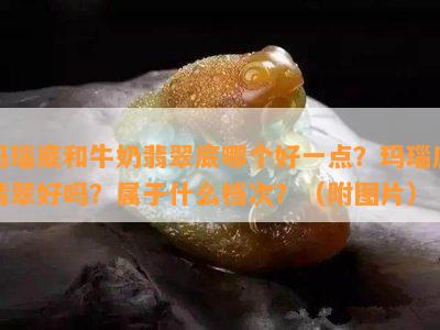 玛瑙底和牛奶翡翠底哪个好一点？玛瑙底翡翠好吗？属于什么档次？（附图片）