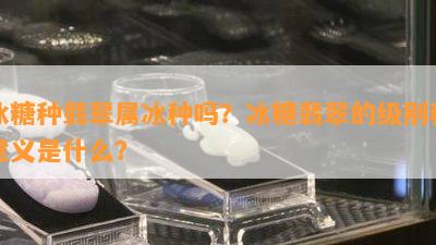 冰糖种翡翠属冰种吗？冰糖翡翠的级别和意义是什么？