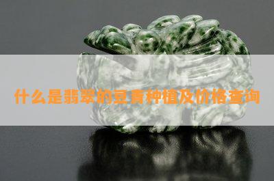 什么是翡翠的豆青种植及价格查询