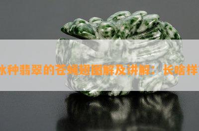 冰种翡翠的苍蝇翅图解及讲解：长啥样？