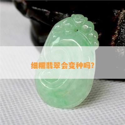 细糯翡翠会变种吗？