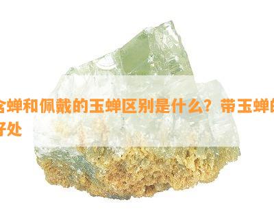 含蝉和佩戴的玉蝉区别是什么？带玉蝉的好处