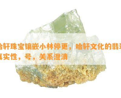 哈轩珠宝镶嵌小林停更，哈轩文化的翡翠真实性，号，关系澄清