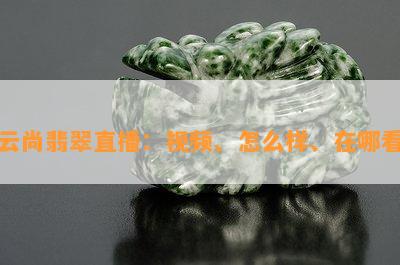 云尚翡翠直播：视频、怎么样、在哪看