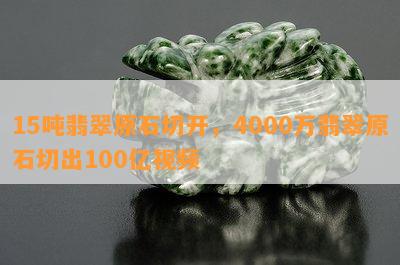 15吨翡翠原石切开，4000万翡翠原石切出100亿视频