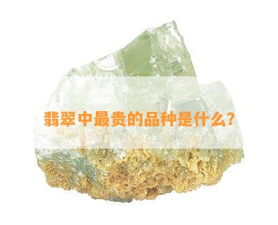 翡翠中最贵的品种是什么？