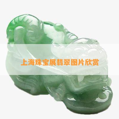 上海珠宝展翡翠图片欣赏