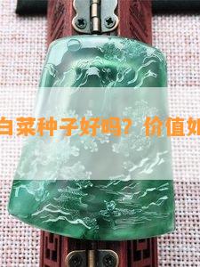 金翡翠大白菜种子好吗？价值如何？能食用吗？