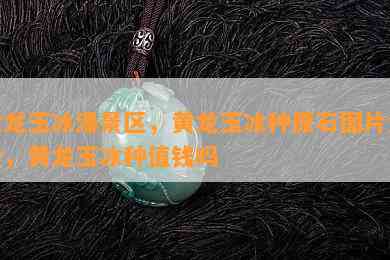 黄龙玉冰瀑景区，黄龙玉冰种原石图片大全，黄龙玉冰种值钱吗