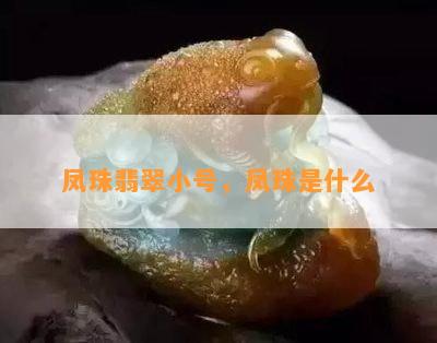 凤珠翡翠小号，凤珠是什么