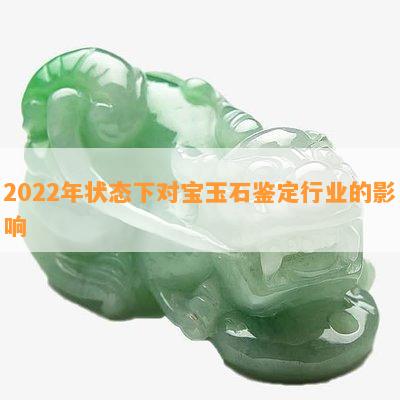 2022年状态下对宝玉石鉴定行业的影响