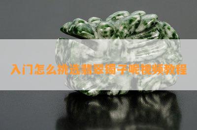 入门怎么挑选翡翠镯子呢视频教程