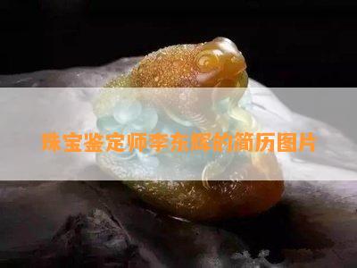 珠宝鉴定师李东辉的简历图片