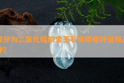 成分为二氧化硅的宝玉石有哪些特征和品种？