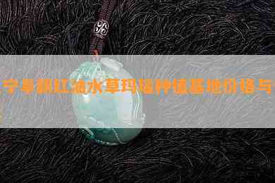 辽宁阜新红油水草玛瑙种植基地价格与价值