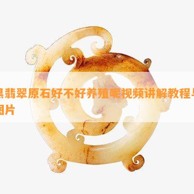 黑翡翠原石好不好养殖呢视频讲解教程与图片