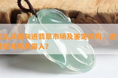 怎么从缅甸进翡翠市场及鉴定机构，进货翡翠并将其带入？