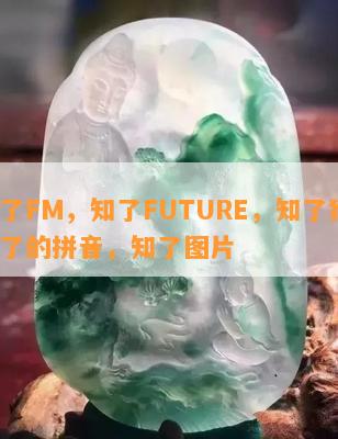 知了FM，知了FUTURE，知了猴，知了的拼音，知了图片