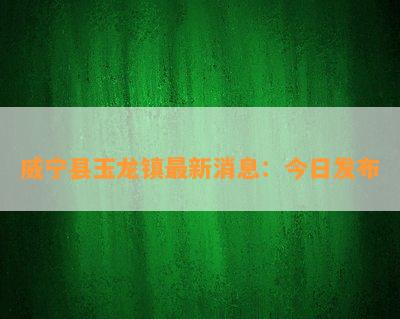 威宁县玉龙镇最新消息：今日发布