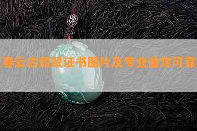 王春云古翡翠证书图片及专业鉴定可靠吗？