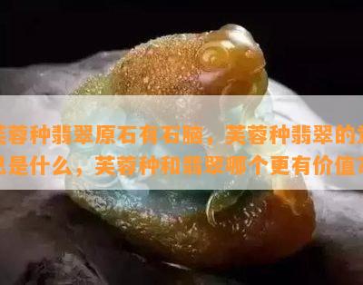 芙蓉种翡翠原石有石脑，芙蓉种翡翠的意思是什么，芙蓉种和翡翠哪个更有价值？