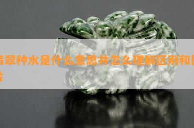 翡翠种水是什么意思并怎么理解区别和图片