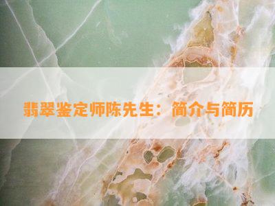 翡翠鉴定师陈先生：简介与简历