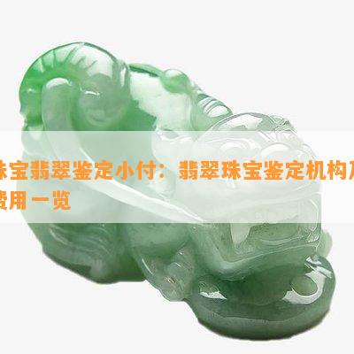 珠宝翡翠鉴定小付：翡翠珠宝鉴定机构及费用一览