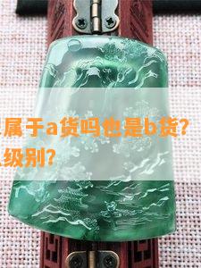 豆种翡翠属于a货吗也是b货？豆种翡翠属于什么级别？