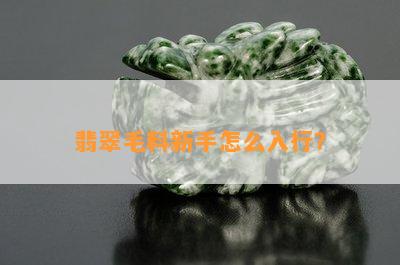 翡翠毛料新手怎么入行？