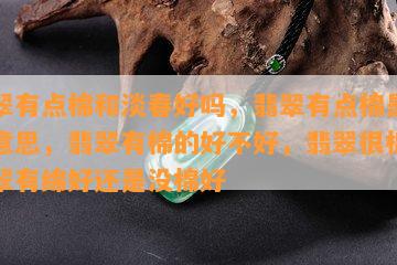 翡翠有点棉和淡春好吗，翡翠有点棉是什么意思，翡翠有棉的好不好，翡翠很棉，翡翠有绵好还是没棉好