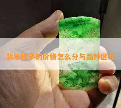 翡翠牌子的价格怎么分与品种区分