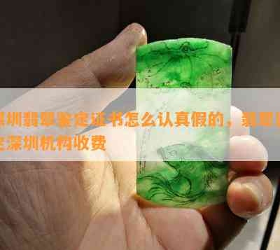 深圳翡翠鉴定证书怎么认真假的，翡翠鉴定深圳机构收费