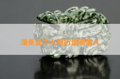 潘景业个人简历是哪里人