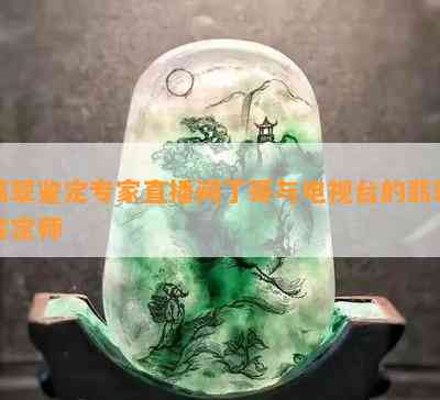 翡翠鉴定专家直播间丁哥与电视台的翡翠鉴定师