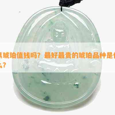 黑琥珀值钱吗？更好最贵的琥珀品种是什么？