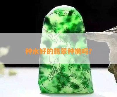 种水好的翡翠种嫩吗？