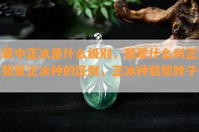 翡翠中正冰是什么级别，翡翠什么叫正冰，翡翠正冰种的区别，正冰种翡翠牌子价格