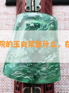 故宫博物院的玉白菜是什么，在几楼，图片