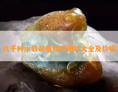 几千种水翡翠值钱吗图片大全及价格