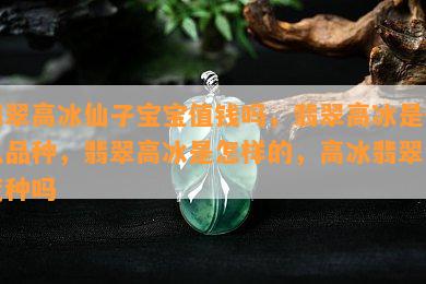 翡翠高冰仙子宝宝值钱吗，翡翠高冰是什么品种，翡翠高冰是怎样的，高冰翡翠会变种吗