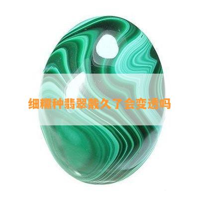 细糯种翡翠戴久了会变透吗