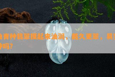 油青种翡翠摸起来油润，戴久更翠，易变种吗？