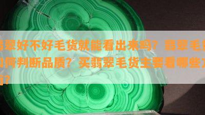 翡翠好不好毛货就能看出来吗？翡翠毛货如何判断品质？买翡翠毛货主要看哪些方面？